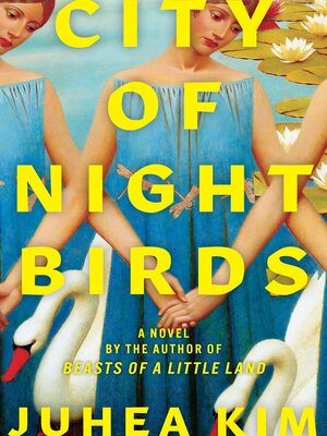 cover image of City of Night Birds